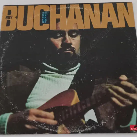 Roy Buchanan, That's What I Am Here For